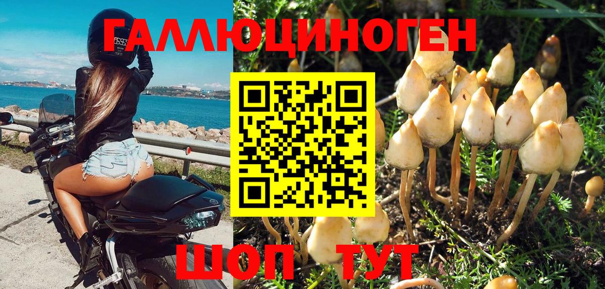 Уфа  Псилоцибиновые грибы Psilocybe  Вход с VPN 