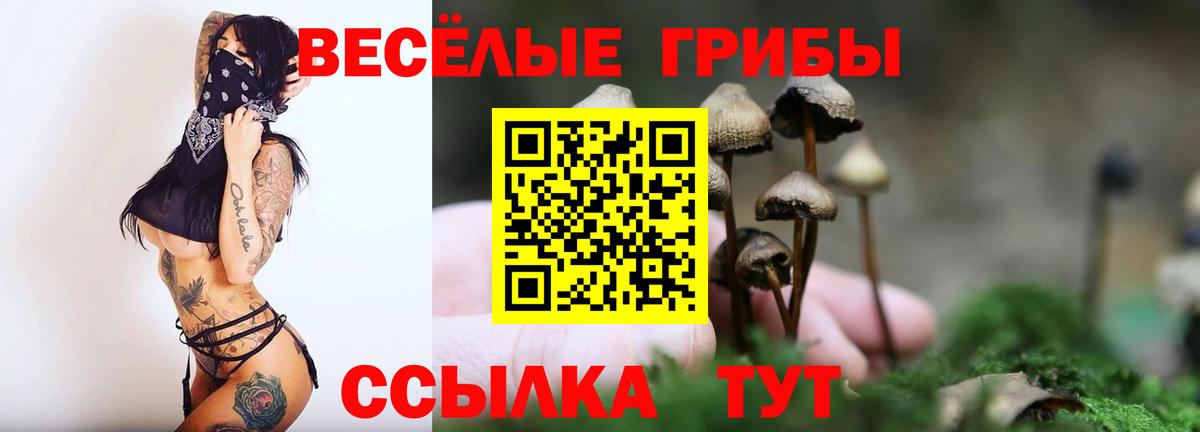 Галлюциногенные грибы Psilocybine cubensis Уфа